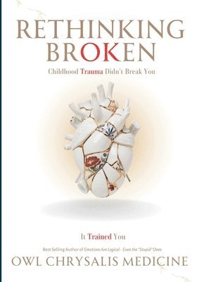 bokomslag Rethinking Broken