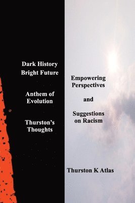 bokomslag Dark History Bright Future