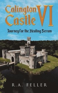 bokomslag Calington Castle VI