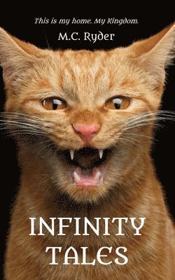 Infinity Tales 1