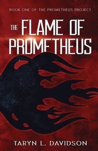 bokomslag The Flame of Prometheus