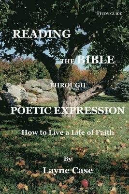 Layne Case - Reading the Bible Through Poetic Expression, Häftad
