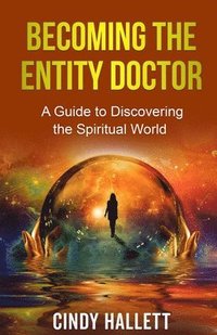 bokomslag Becoming The Entity Doctor