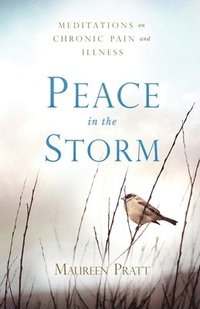 bokomslag Peace in the Storm