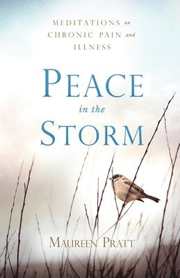 Peace in the Storm 1