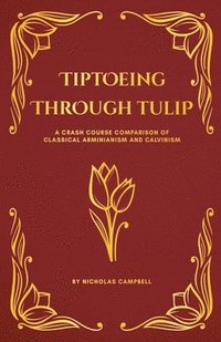 bokomslag Tiptoeing Through Tulip