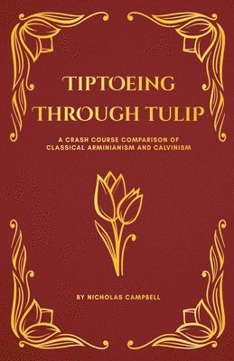 bokomslag Tiptoeing Through Tulip