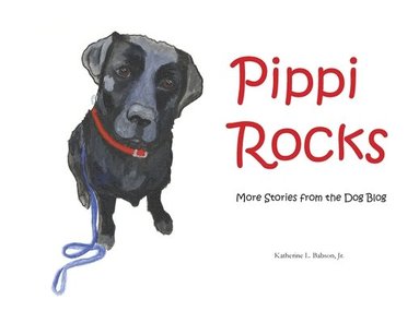bokomslag Pippi Rocks