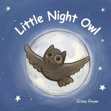 bokomslag Little Night Owl
