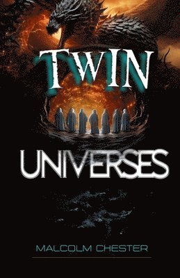 bokomslag Twin Universes