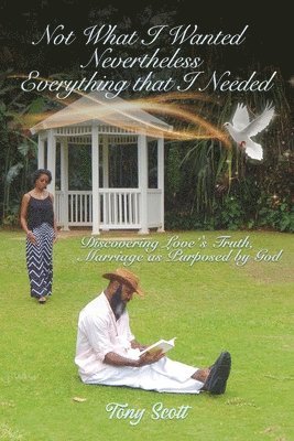 Not What I Thought I Wanted Nevertheless Everything I Needed