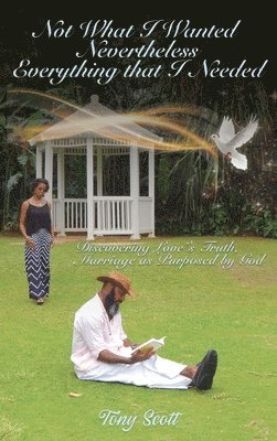 Not What I Thought I Wanted Nevertheless Everything I Needed