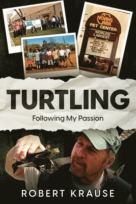 Turtling 1