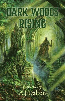 A J Dalton - Dark Woods Rising, Häftad
