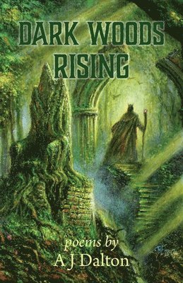 Dark Woods Rising 1