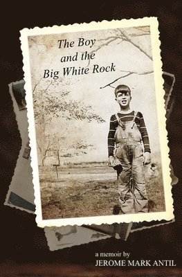 bokomslag Boy and the Big White Rock