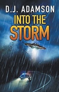 bokomslag Into The Storm