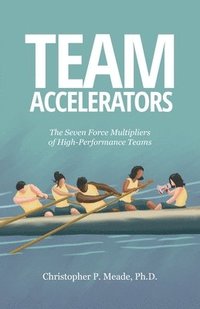 bokomslag Team Accelerators