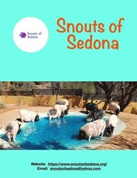 bokomslag Snouts of Sedona