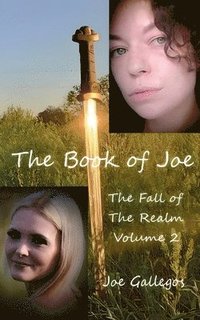 bokomslag Book of Joe