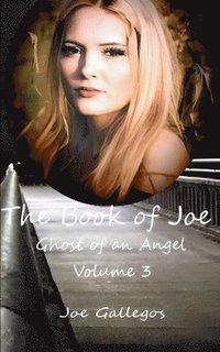 bokomslag Book of Joe