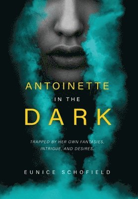 bokomslag Antoinette in the Dark