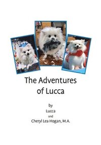bokomslag The Adventures of Lucca