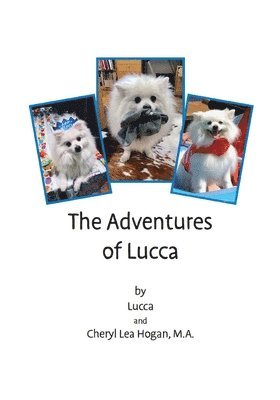 The Adventures of Lucca 1