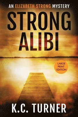 bokomslag Strong Alibi