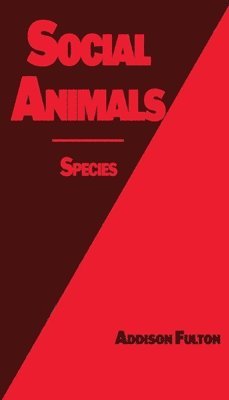 Social Animals 1