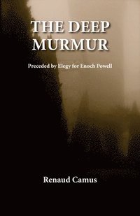 bokomslag The Deep Murmur