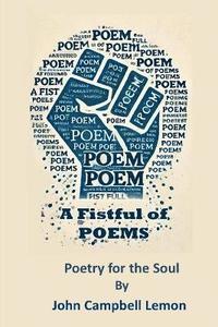 bokomslag Fist Full Of Poems