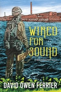 bokomslag Wired For Sound