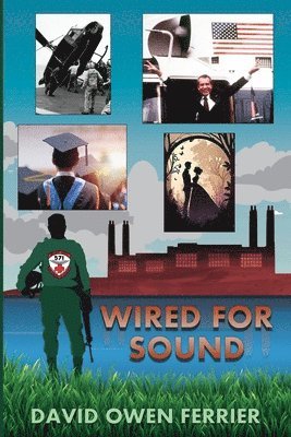 David Ferrier - Wired For Sound, Häftad