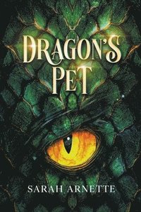 bokomslag Dragon's Pet