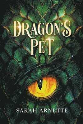 Dragon's Pet 1