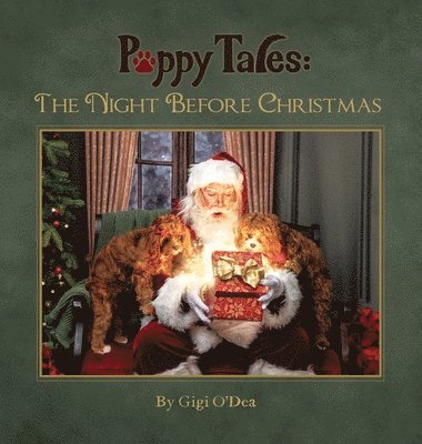 bokomslag Puppy Tales - The Night Before Christmas: A Photographic Storybook About The Magic Of Santa