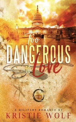 bokomslag Too Dangerous to Love (Project VIPER Book One) Special Edition