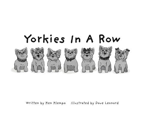 Yorkies In a Row 1