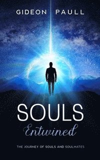 bokomslag Souls Entwined