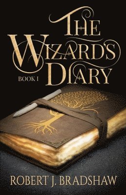 The Wizard's Diary 1