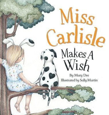 bokomslag Miss Carlisle Makes A Wish