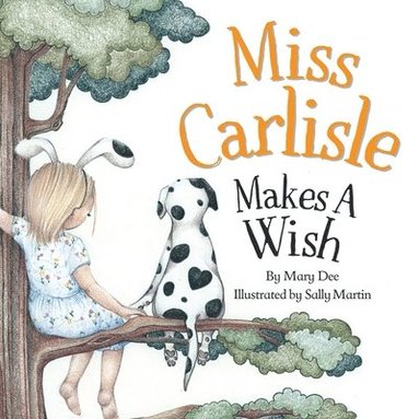 bokomslag Miss Carlisle Makes A Wish