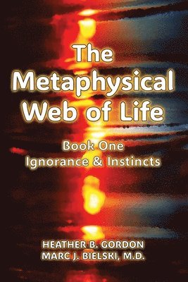 bokomslag Metaphysical Web of Life