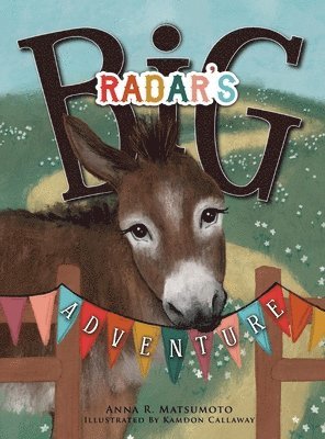 Anna R Matsumoto - Radar's Big Adventure, Inbunden