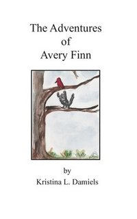 bokomslag Adventures of Avery Finn