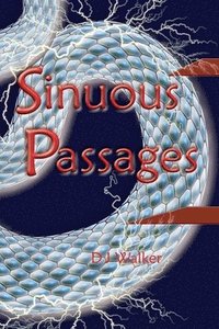 bokomslag Sinuous Passages