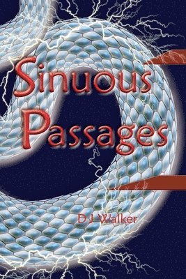 D J Walker, D. J. Walker - Sinuous Passages, Häftad