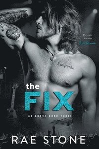 bokomslag The Fix