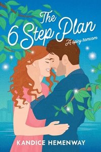 bokomslag The 6 Step Plan